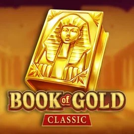 game logo by Playson on fg-foxs.nl
